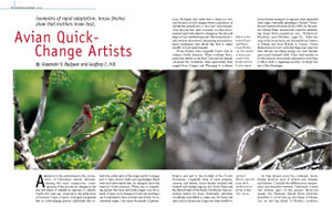 Avian Quick-Change Artists